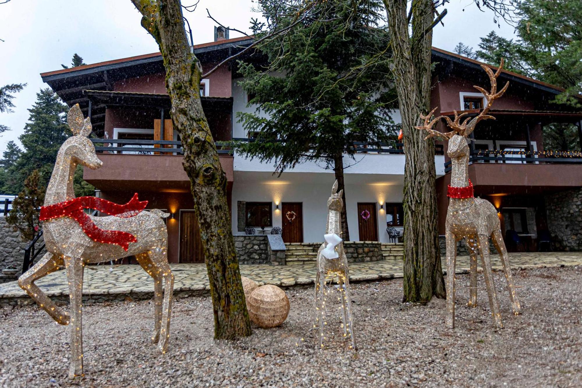Mz Reindeer Hotel Kalívia Екстериор снимка